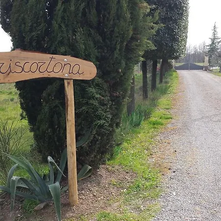 Iriscortona * Cortona