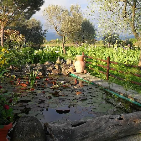 וילה Iriscortona קורטונה