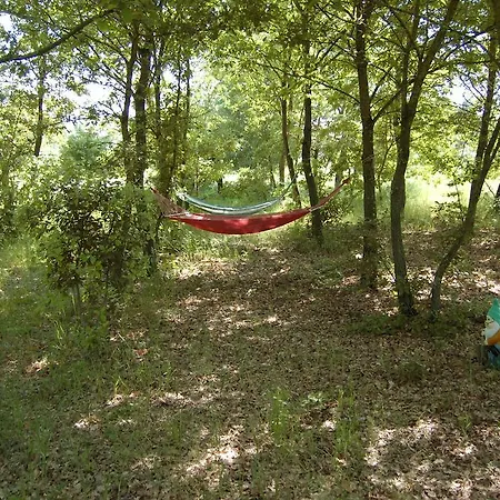 Villa Iriscortona Cortona