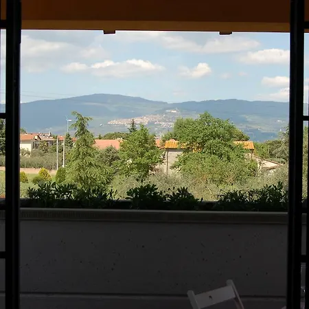 Iriscortona קורטונה