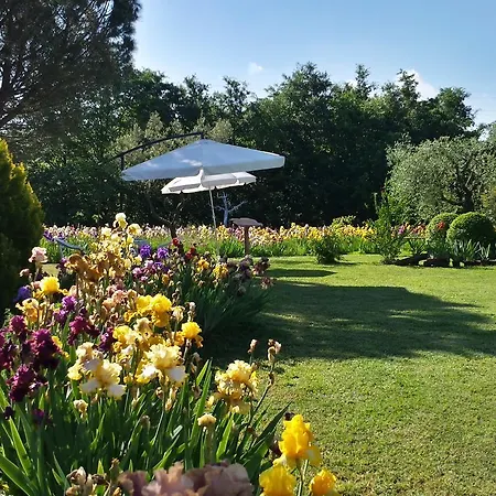 Iriscortona Villa *
