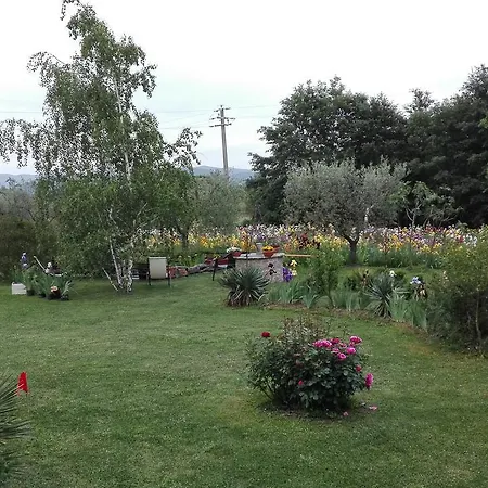 Iriscortona * קורטונה