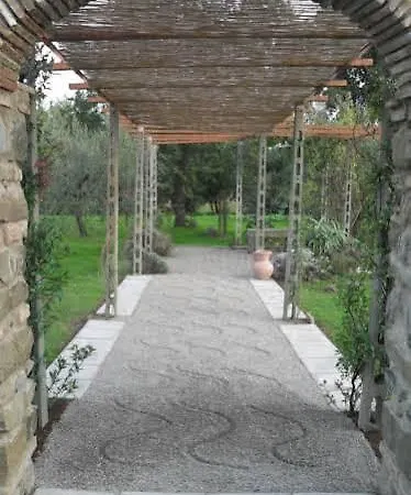 Iriscortona קורטונה