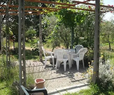 Iriscortona * Cortona