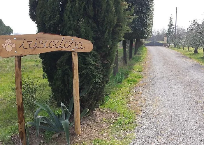 Iriscortona * Cortona