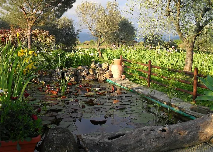 Villa Iriscortona Cortona