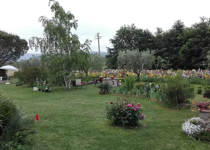 Iriscortona * Cortona