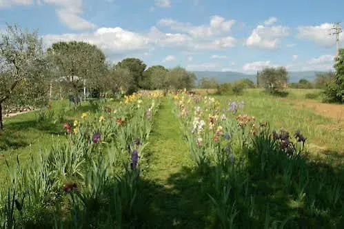 Iriscortona Вілла *